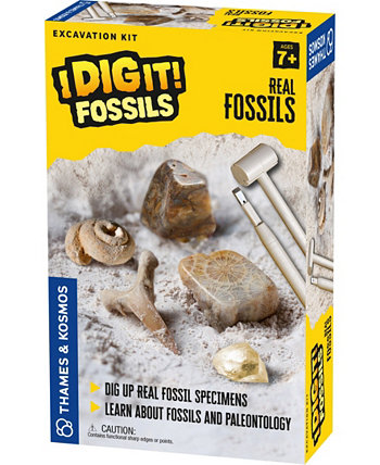 Я копаю это! Ископаемые - Real Fossils Excavation Kit Thames & Kosmos