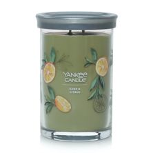 Yankee Candle Sage & Citrus Signature стаканная свеча с 2 фитилями Yankee Candle