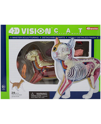 Модель анатомии 4D Vision Orange Cat Areyougame