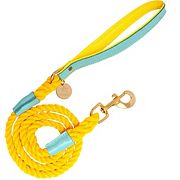 Pet Dog 5ft Long Leash PoisePup