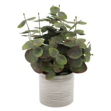 Sonoma Goods For Life® Artificial Eucalyptus Potted Plant Table Decor SONOMA