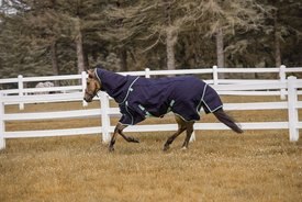 TuffRider All Season Horse Blanket TuffRider