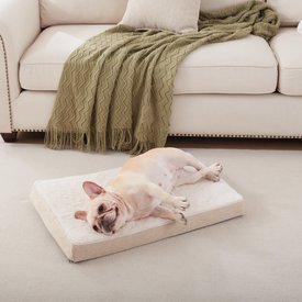 LFC PETS Ultra Comfort Memory Foam Dog & Cat Bed with Removable Cover LFC PETS