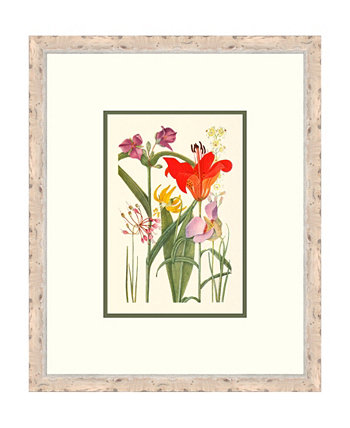 Картины из жикле в V-образной рамке "Коттеджные цветы" - 21 "x 25" x 2 " Melissa Van Hise