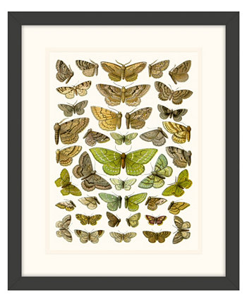 Картины с изображением бабочек II в рамке из жикле - 15 "x 18" x 2 " Melissa Van Hise