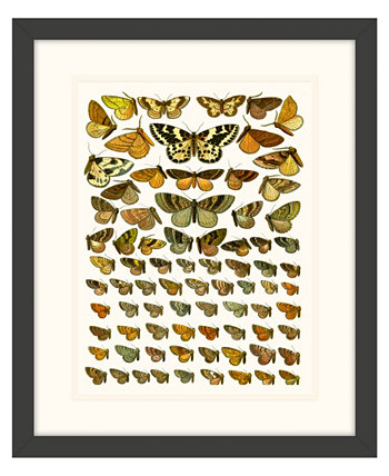 Картины с бабочками III в рамке из жикле на стенах - 15 "x 18" x 2 " Melissa Van Hise
