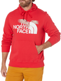 Толстовка с капюшоном Americana The North Face