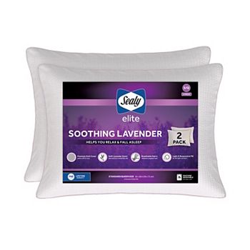 Sealy Elite 2-Pack Soothing Lavender Knit Pillows Sealy