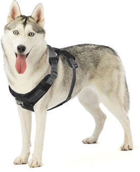 Outward Hound Boulder Adventure Adjustable w/Pockets Dog Harness Outward Hound