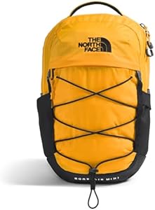 THE NORTH FACE 10L Mini Borealis Everyday Backpack, Algae Blue/Midnight Petrol, One Size The North Face