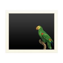 Классная доска торговой марки Fine Art 'Parrot Of The Tropics III' Trademark Fine Art