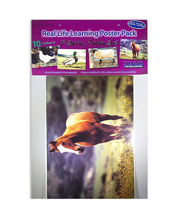 Real Photo Farm Набор плакатов животных Stages Learning Materials