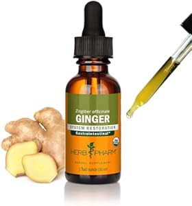 Herb Pharm Certified Organic Ginger Liquid Extract for Digestive Support - 1 Ounce Herb Pharm