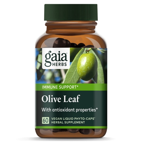Single Herbs Olive Leaf -- 60 вегетарианских жидких капсул Phyto-Caps™ Gaia Herbs