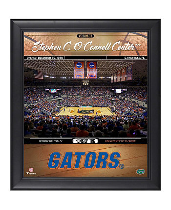 Коллаж "Добро пожаловать домой" с баскетбольным мячом "Флорида Гаторс" в рамке размером 15 x 17 дюймов Fanatics Authentic