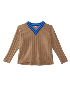 Большой свитер с v-образным вырезом и кончиками плюс Madewell