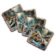 Charming Sea Lions Wooden Cork Coasters Gift Set Of 4 Nature Wonders
