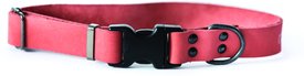 Euro-Dog Sport Style Luxury Leather Dog Collar Euro-Dog