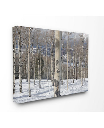 Картина «Зимние березы» на холсте, 24 "x 30" Stupell Industries