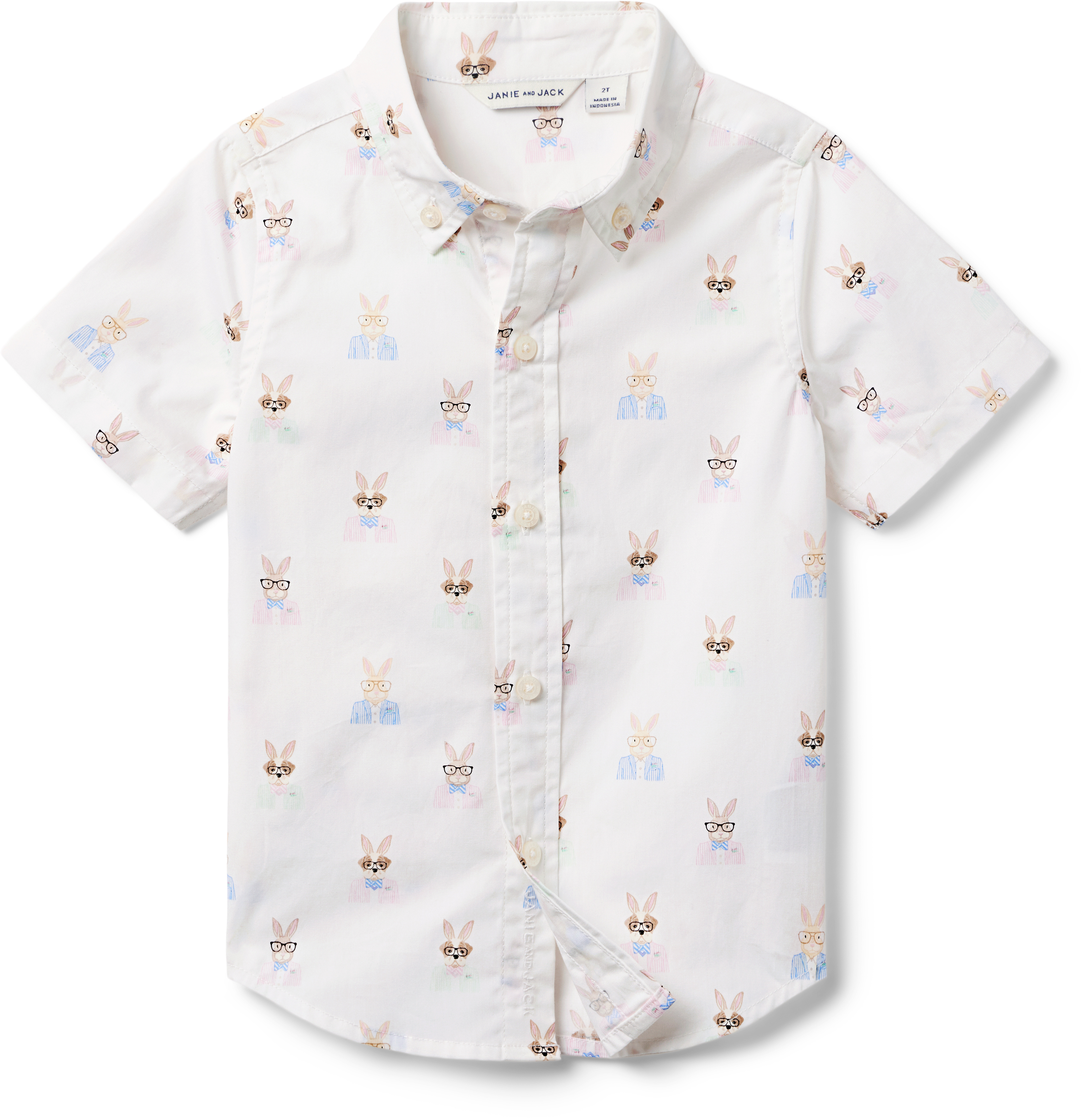 Рубашка на пуговицах с принтом кролика (для малышей/маленьких детей/больших детей) Janie and Jack