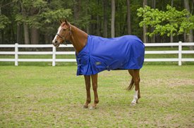 TuffRider 1680D Super Comfy Medium Weight 200G Standard Neck Horse Blanket TuffRider