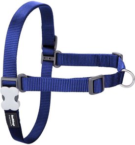 Red Dingo No Pull Dog Harness Red Dingo