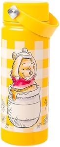 Silver Buffalo Disney Winnie the Pooh Stainless Steel Water Bottle with Swivel Handle Featuring Winnie the Pooh, 20 Ounces Silver Buffalo