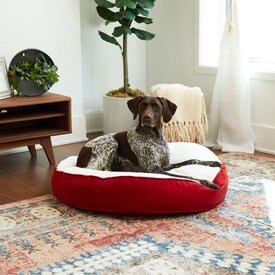 Happy Hounds Scooter Deluxe Round Pillow Dog Bed with Removable Cover Happy Hounds