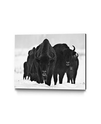 28 "x 22" Печать на холсте из музея европейских бизонов Giant Art