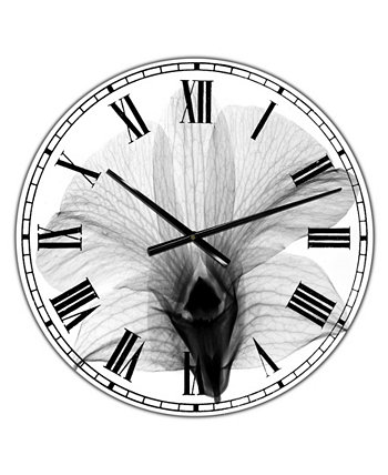 Dendrobium On Back X-Ray Orchid Настенные часы для большого коттеджа - 36 дюймов x 28 дюймов x 1 дюйм Designart