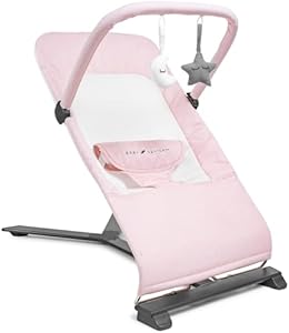 Портативный шезлонг Baby Delight Alpine Wave Deluxe | Автоматизированный детский шезлонг | Младенцы 0–6 месяцев | Дрифтвуд серый Baby Delight