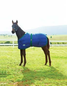 WeatherBeeta 420D Foal Standard Neck Medium Horse Blanket Weatherbeeta