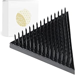 Wazakura Japanese Black Triangle Ikebana Kenzan Flower Holder 2 in (53 mm), Made in Japan Floral Arranging Pin Frog Tool - Black Triangle Kenzan 2" (53mm) Wazakura