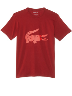 Классическая спортивная футболка с логотипом под крокодила (маленький ребенок/малыш/большой ребенок) Lacoste Kids