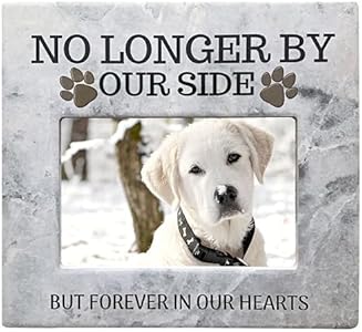 BANBERRY DESIGNS Pet Memorial Gift Picture Frame - No Longer By Our Side Forever in Our Hearts Plaque - Loss of a Dog or Cat- Paw Prints - Holds a 4" X 6" Photo BANBERRY DESIGNS