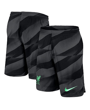 Мужские шорты антрацитового цвета для вратарей стадиона Liverpool 2023/24 Stadium Nike
