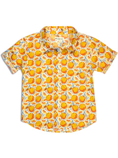 Рубашка Playa (для малышей/маленьких детей/больших детей) Appaman