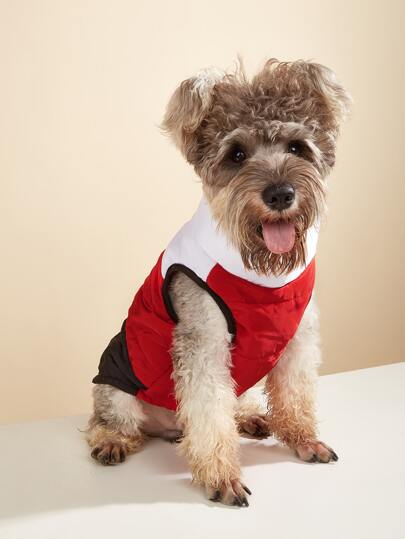Контрастная куртка для домашних животных SHEIN