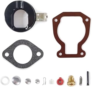 Carb Carburetor Rebuild Kit for Johnson Evinrude 398453 398452 391305 439072 391937 with Float 4-15 hp Gayeri