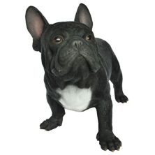 20&#34; Black and White French Bulldog Outdoor Garden Statue Hi-Line Gifts
