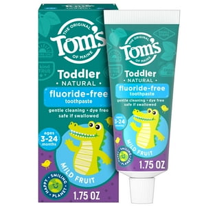 Tom’s of Maine Fluoride Free Toddler Training Toothpaste, Mild Fruit Gel, 1.75 oz Tom's of Maine