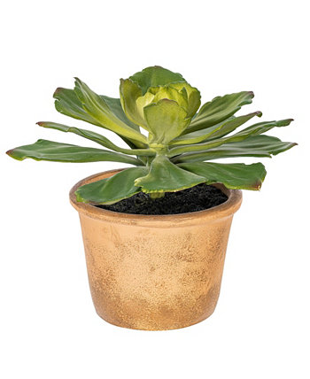 9" Artificial Succulent, Paper Pot. Vickerman
