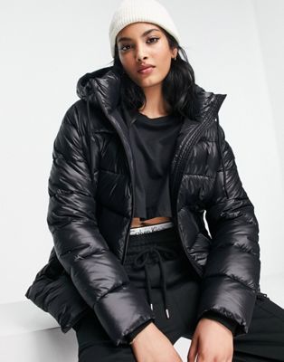 Черная дутая куртка с капюшоном Calvin Klein Calvin Klein