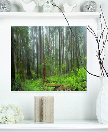Designart 'Hoh Rain Forest' Пейзажная фотография Картины из металла - 20 "X 12" Design Art