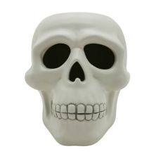 Celebrate Together™ Halloween Skull Solar Lantern Celebrate Together