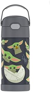 THERMOS FUNTAINER Water Bottle with Straw - 12 Ounce - Kids Stainless Steel Vacuum Insulated Water Bottle with Lid, Avengers Thermos