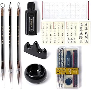 Chinese Calligraphy Set, Japanese Calligraphy Brush Gift Set, Brush Calligraphy Ink, Water Writing Cloth, 9 Pcs for Beginners CA Society