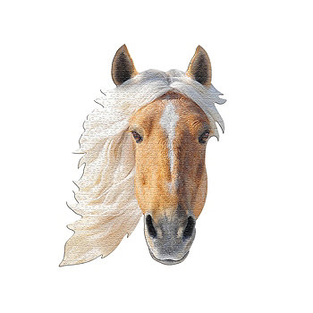 Пазлы Мэдда Каппа «Я ЕСМЬ Лошадь», 550 шт. Madd Capp Games