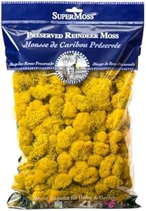 SuperMoss Reindeer Preserved Long Lasting Decorative Moss for Floral Décor Potted Plants and Indoor Planters, Sunflower SuperMoss