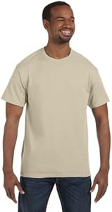 5250T Hanes Men's Authentic-T T-Shirt Hanes